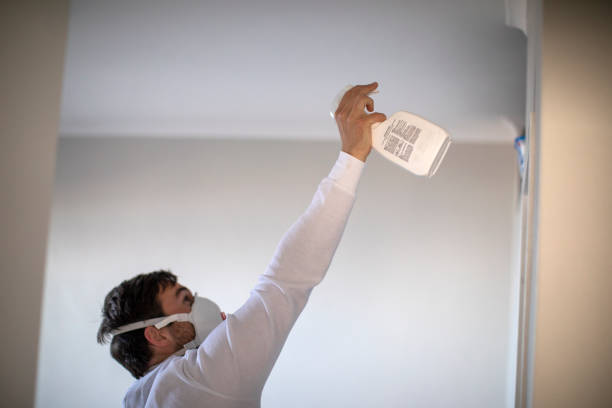 Best Certified Mold Removal  in Helena, AL